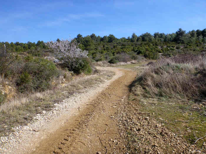 Agrandir l'image En direction du Col de Salles