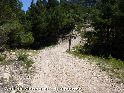 Coll de Monegret - ES-T-0470f