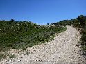 Coll de Monetze - ES-T-0632