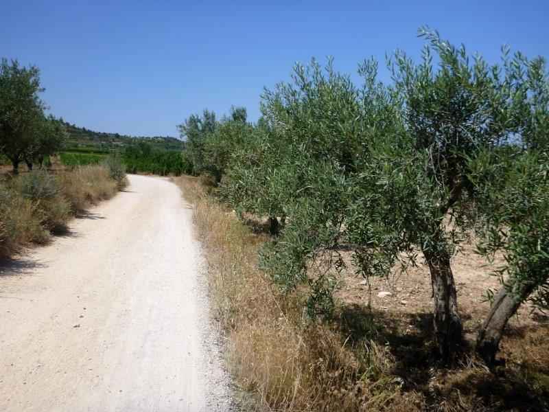 Agrandir l'image En direction du Collado del Castellet