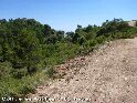 Coll de Les Agulles - ES-T-0770