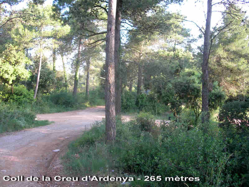 Coll de la Creu d'Ardenya