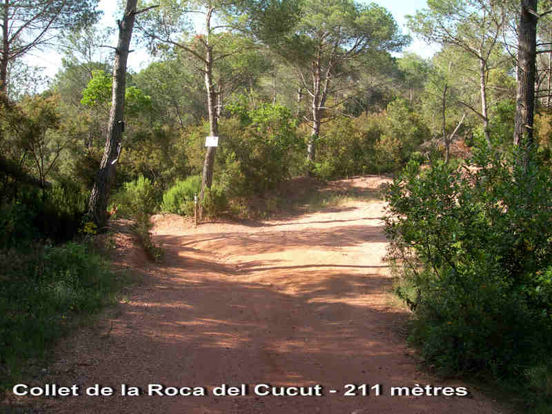 Collet de la Roca del Cucut - ES-B-0211