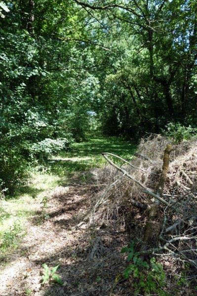 Agrandir l'image De la halte de Blan à la gare de Lempaut