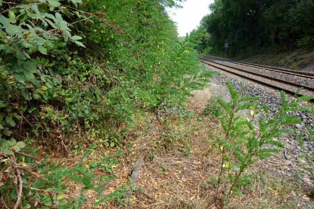 Agrandir l'image De la gare de Ribaute-les-Tavernes à la gare du Mas-de-Gardies