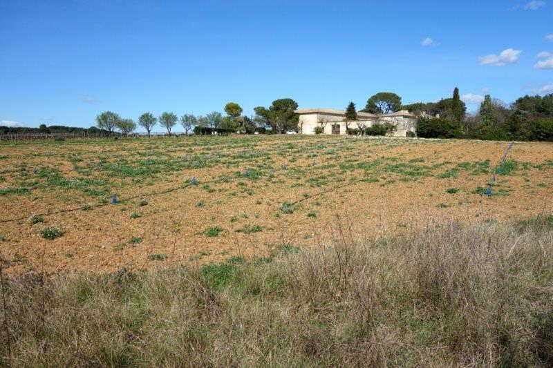 Agrandir l'image De la gare de Saint-Christol à la gare de Boisseron