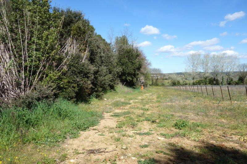 Agrandir l'image De la gare de Saint-Christol à la gare de Boisseron