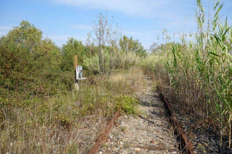 De la gare de Pézenas-Midi à la gare de Lézignan-la-Cèbe