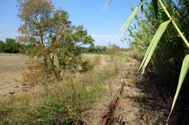 De la gare de Pézenas-Midi à la gare de Lézignan-la-Cèbe