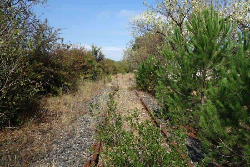 De la gare de Pézenas-Midi à la gare de Lézignan-la-Cèbe