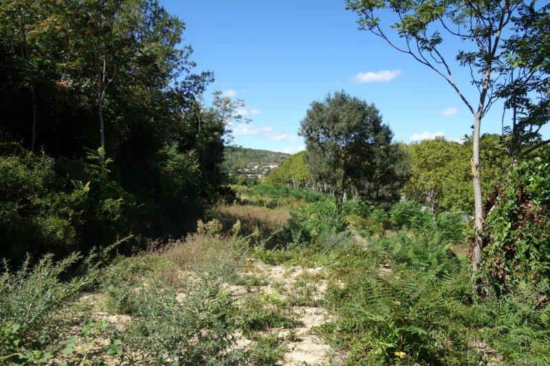 Agrandir l'image De la halte d'Aspiran à la gare de Clermont-l'Hérault