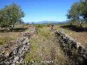 Agrandir l'image Coll d'Abella - ES-GI-0137