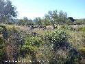 Agrandir l'image Coll d'Abella - ES-GI-0137