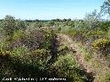 Agrandir l'image Coll d'Abella - ES-GI-0137