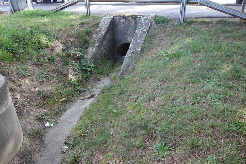 De la gare de Caveurac  la gare de Langlade