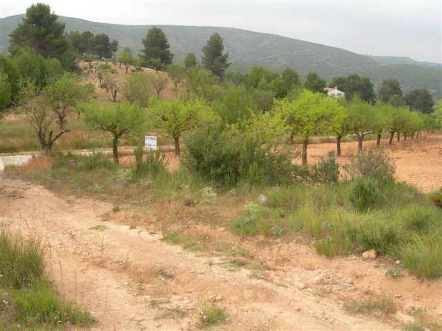 En direction du collado Palmera